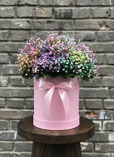 Цветочная композиция из Гипсофила и Розы в шляпной коробке в Хоре