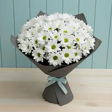 Букет цветов из:  Хризантемы #REPLACE_PRED# Хоре
