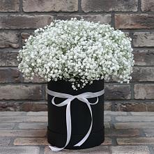 Цветочная композиция из Гипсофила в шляпной коробке в Хоре