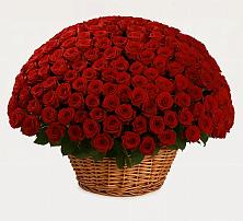 Премиум букет из: Розы в Хоре