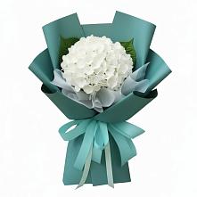 Букет цветов из:  Гортензия в Хоре